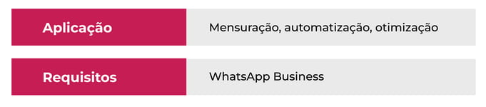 WhatsApp Conversion Import 2: box que mostra a aplicação: mensuração, automatização e otimização. E os requisitos: Whastapp business.
